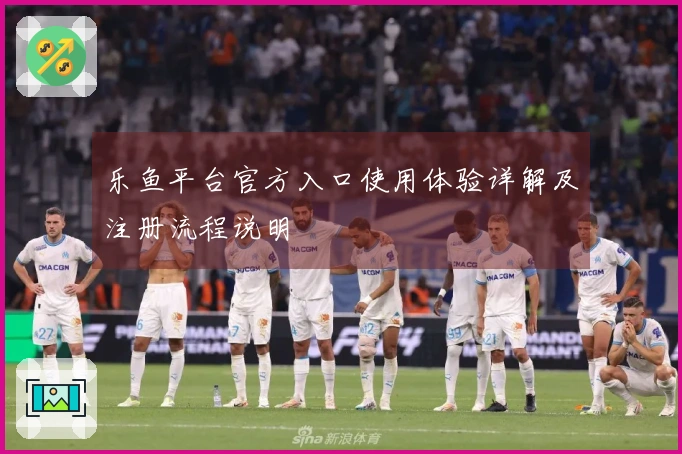 乐鱼平台官方入口使用体验详解及注册流程说明