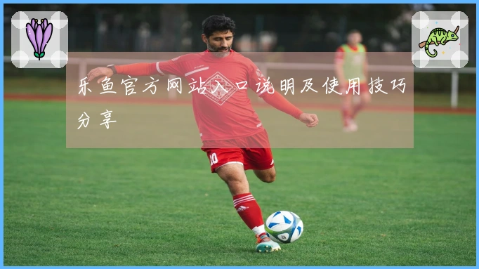乐鱼官方网站入口说明及使用技巧分享