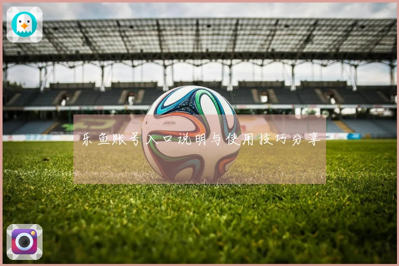 乐鱼账号入口说明与使用技巧分享