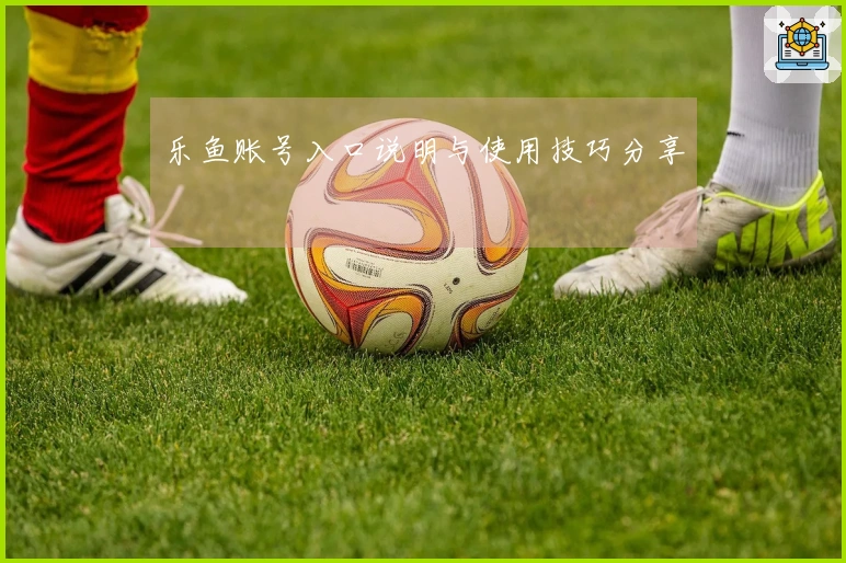 乐鱼账号入口说明与使用技巧分享