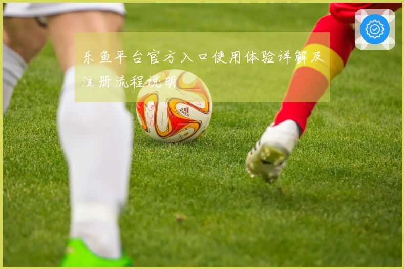 乐鱼平台官方入口使用体验详解及注册流程说明